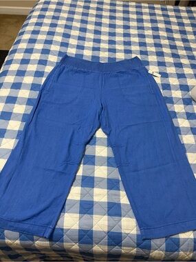 NWT Anthropologie Pilcro Reese Linen Blend Pants size XL